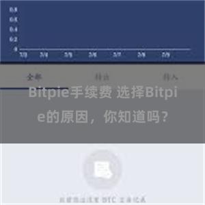 Bitpie手续费 选择Bitpie的原因，你知道吗？