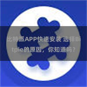 比特派APP快速安装 选择Bitpie的原因，你知道吗？