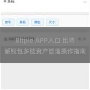 Bitpie APP入口 比特派钱包多链资产管理操作指南