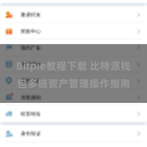 Bitpie教程下载 比特派钱包多链资产管理操作指南