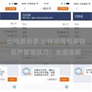 比特派资源 比特派钱包多链资产管理技巧：全面攻略