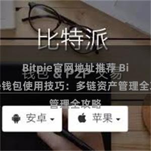 Bitpie官网地址推荐 Bitpie钱包使用技巧：多链资产管理全攻略