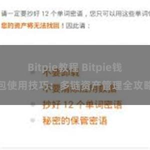 Bitpie教程 Bitpie钱包使用技巧：多链资产管理全攻略