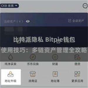 比特派隐私 Bitpie钱包使用技巧：多链资产管理全攻略