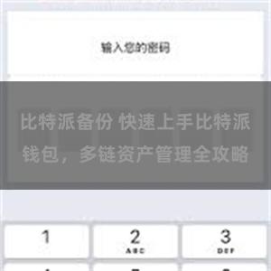 比特派备份 快速上手比特派钱包，多链资产管理全攻略