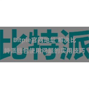 Bitpie官网地址 解决比特派钱包使用问题的实用技巧