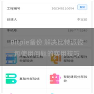 Bitpie备份 解决比特派钱包使用问题的实用技巧