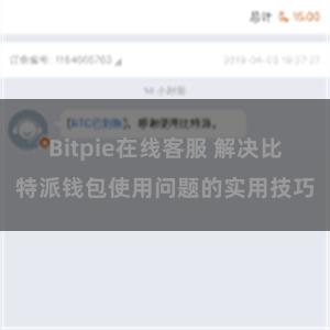 Bitpie在线客服 解决比特派钱包使用问题的实用技巧