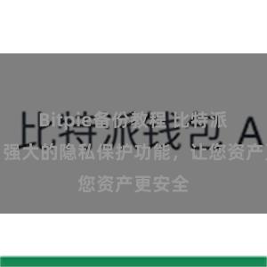 Bitpie备份教程 比特派钱包：强大的隐私保护功能，让您资产更安全