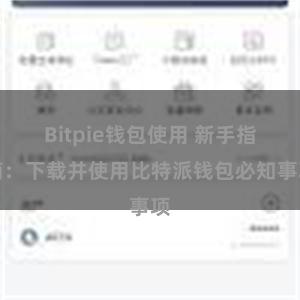 Bitpie钱包使用 新手指南：下载并使用比特派钱包必知事项