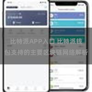 比特派APP入口 比特派钱包支持的主要区块链网络解析