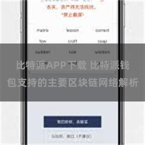 比特派APP下载 比特派钱包支持的主要区块链网络解析