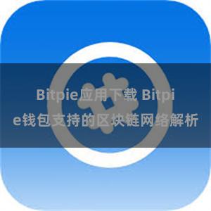 Bitpie应用下载 Bitpie钱包支持的区块链网络解析