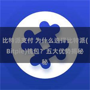 比特派支付 为什么选择比特派(Bitpie)钱包？五大优势揭秘