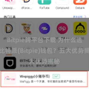 Bitpie跨平台下载 为什么选择比特派(Bitpie)钱包？五大优势揭秘