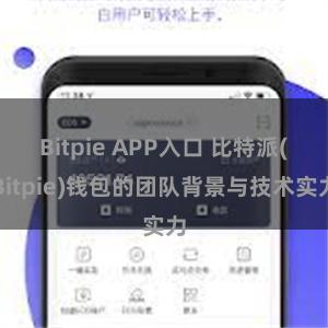 Bitpie APP入口 比特派(Bitpie)钱包的团队背景与技术实力