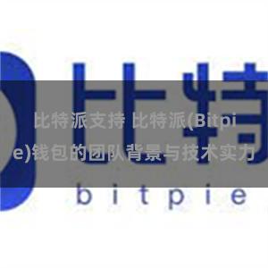 比特派支持 比特派(Bitpie)钱包的团队背景与技术实力