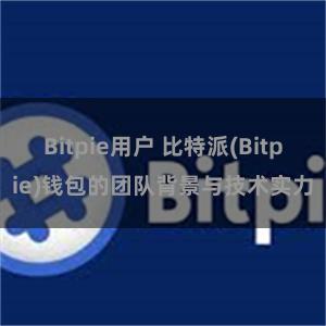 Bitpie用户 比特派(Bitpie)钱包的团队背景与技术实力