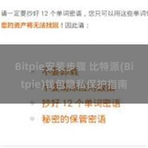 Bitpie安装步骤 比特派(Bitpie)钱包隐私保护指南