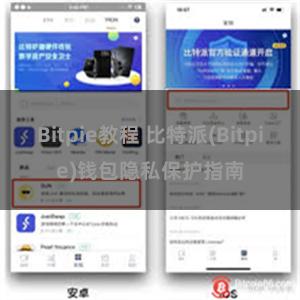 Bitpie教程 比特派(Bitpie)钱包隐私保护指南