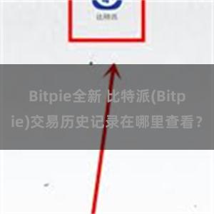 Bitpie全新 比特派(Bitpie)交易历史记录在哪里查看？