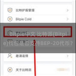 Bitpie中文 比特派(Bitpie)钱包是否支持BEP-20代币？