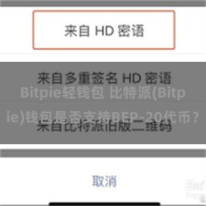 Bitpie轻钱包 比特派(Bitpie)钱包是否支持BEP-20代币？